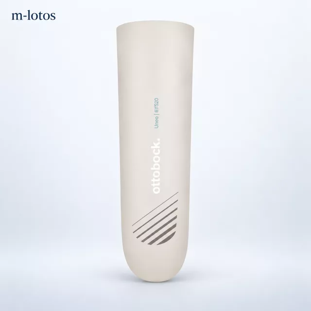 Лайнер 6Y520
